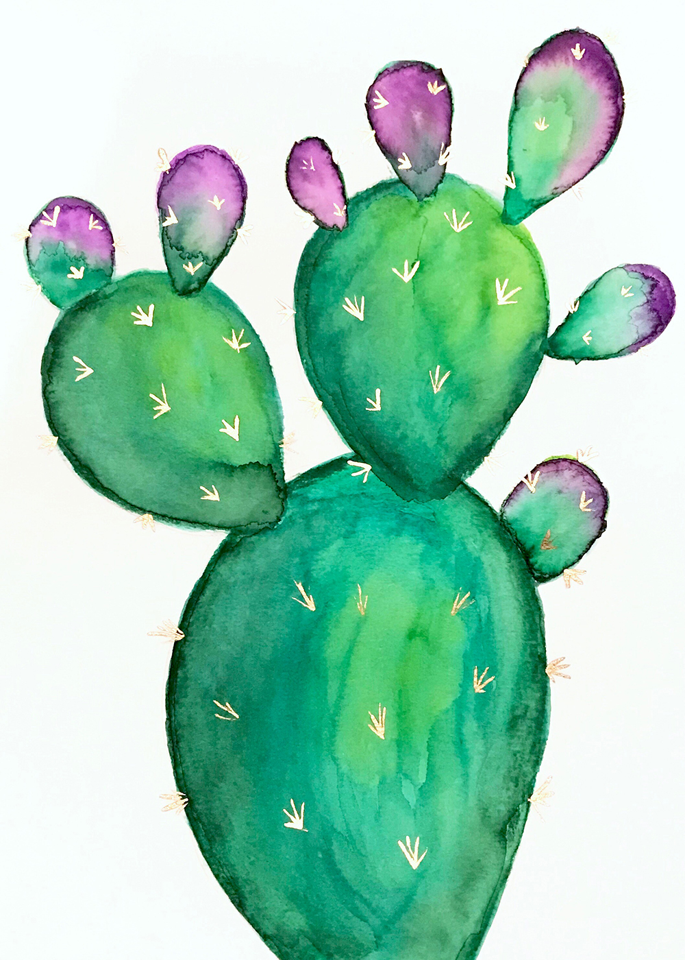 Prickly Pear