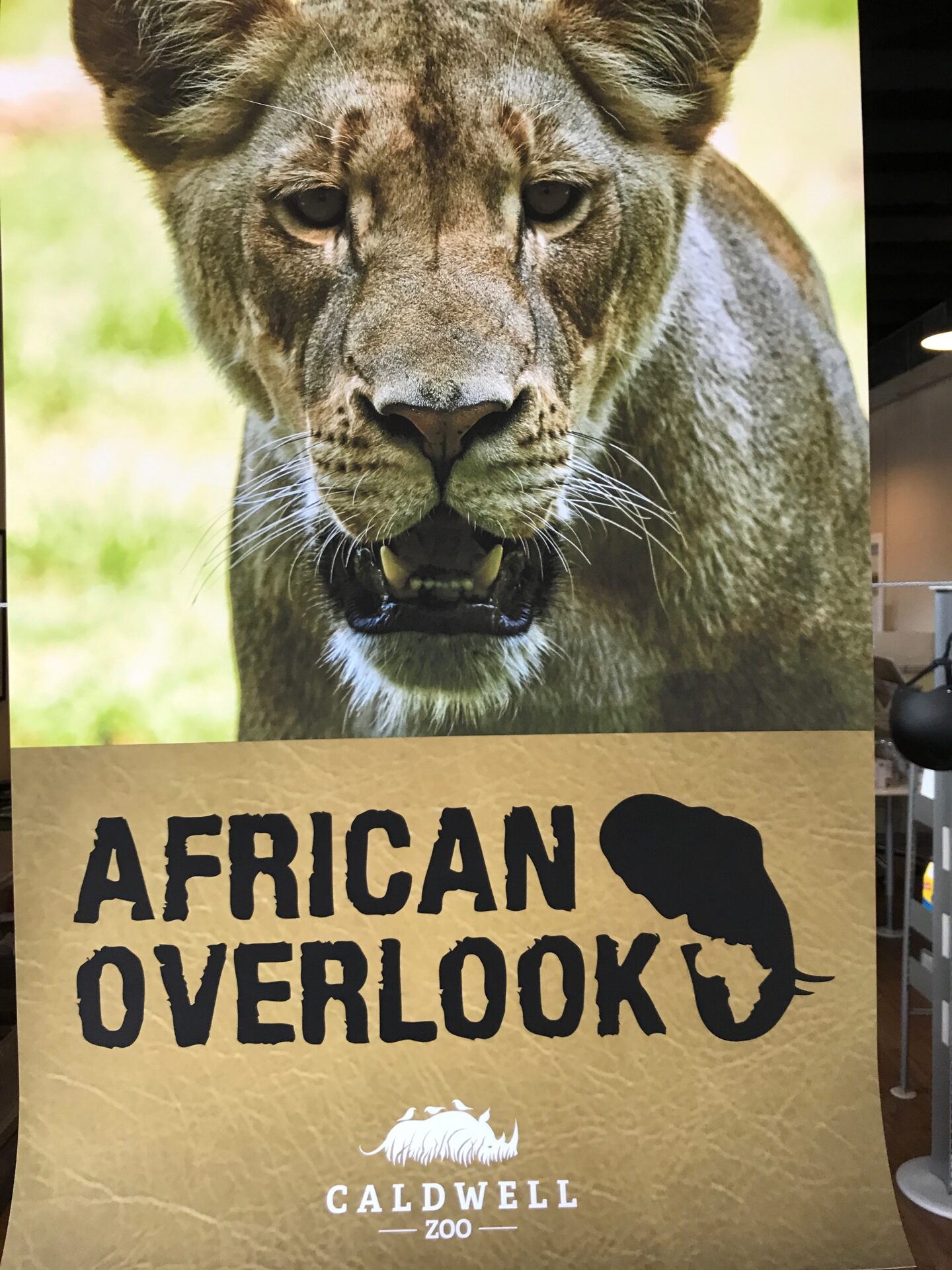 African Overlook Banner