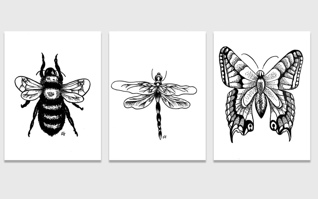 Insects